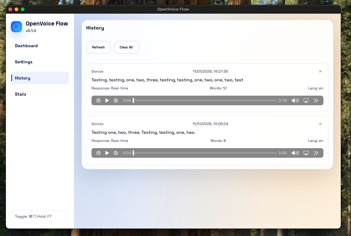 OpenVoice Flow screenshot 2